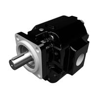 Cast Iron Pumps - PG076 Series